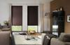 Blinds Online | Vision Blinds | zebra Blinds