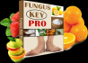 http://www.healthybooklet.com/fungus-key-pro/