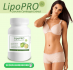 Lipo Pro Garcinia cambogia extract is risk-free?