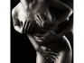 click for more info. http://supplement4order.com/tryvexan-male-enhancement/