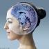 http://www.drozhealthblog.com/neuro-max/