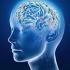 http://trade4supplement.com/mindzr-brain/