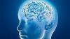 http://trade4supplement.com/master-mindboost/