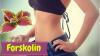 Natural Diet Forskolin liver and Î² cells all around