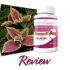 http://topteethwhiteningtips.com/slim4ever-forskolin/