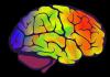 Amazin Brain |Reviews |Where to buy|Side Effects|Benfits|Scam.