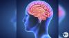 http://ketoplanusa.com/amazin-brain/
