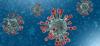 What Is CoronaVirus Survivor Plan
