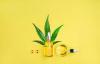 http://kyle-richards-cbd-oil.moonfruit.com/