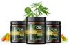 http://www.health4welness.com/karas-orchards-cbd-uk/