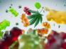 http://zenzi-hemp-gummies-au.moonfruit.com/