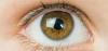 Where to Buy Eyesight Max UK?