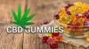 9 Guilt Free David Suzuki CBD Gummies Canada Tips