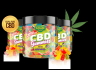 Are These Smilz CBD Gummies Really Good?