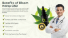 Bloom Hemp CBD Oil â€“ What Is It?