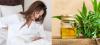 Herbivore Emerald CBD Oil | Instant Pain Relief Product