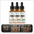 Things To Know About Tacoma Farms CBD Oil