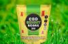 Green CBD Gummies Reviews: Benefits and Side Effects!