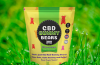 What Is Green CBD Gummies Russell Brand UK and How Does It Work?