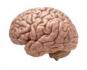 https://www.facebook.com/Neuro-Smart-IQ-106628158508763