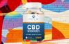 https://w3times.com/health/montana-valley-cbd-gummies-want-to-reduce-your-anxiety-pain-and-sleep-problems/