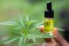 The Expertsâ€™ Guide To Prime Nature Cbd Oil