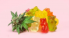 Martha Maccallum CBD Gummies Will Make You Tons Of Cash. Here's How!