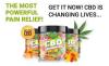 Smilz CBD Gummies Reviews - (Scam Alert) Quit Smoking, Smilz CBD & Website?