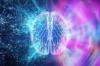 click,,,@@,,,,https://cbdmarketbuzz.com/oweli-neuro-brain-reviews/