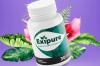 Exipure Weight Loss Pills Price