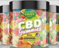 SMILZ CBD GUMMIES Reviews - Top Ingredients, Benefits, Pain Relief, Price & With Side Effect?