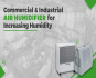 Different Types of Humidifiers on The Market