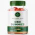 ANATOMY ONE CBD GUMMIES