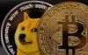 What Kind of Intermediary is DogeCoin Millionaire Best For?