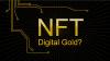 NFT Investor Audit