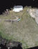 Best Drone for Videography