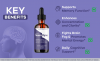 NeuroDyne Official Website: Focus, Clarity, Energy[NeuroDyne Drops United States]